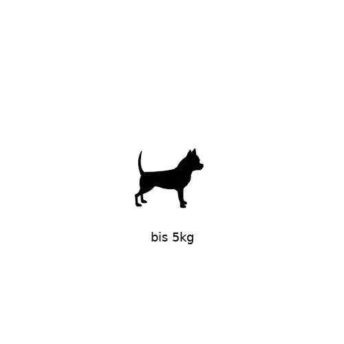 easylong - XS