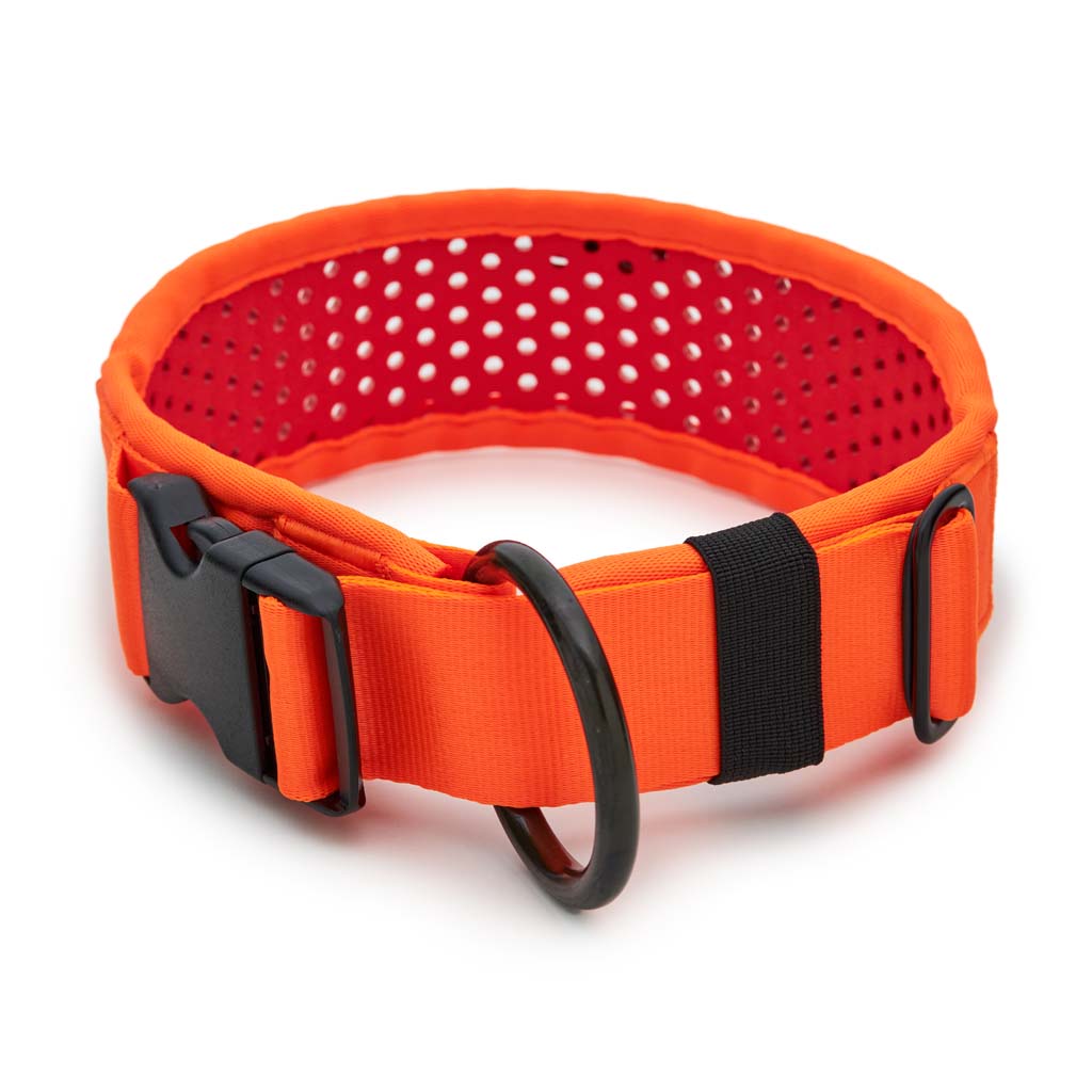 SOFTY Halsband