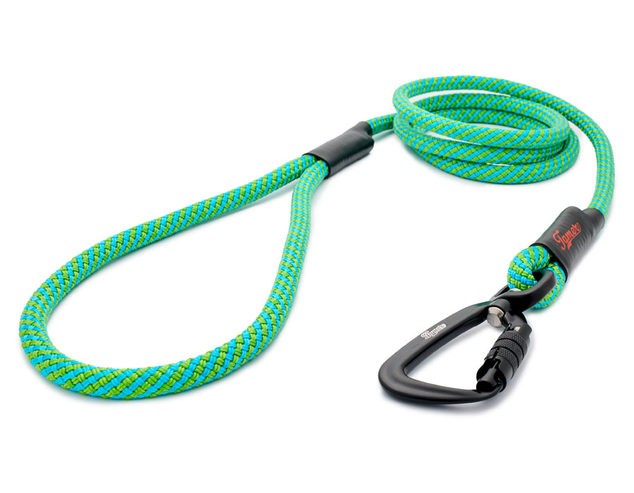 Klassische Hundeleine - M - TWIST Karabiner