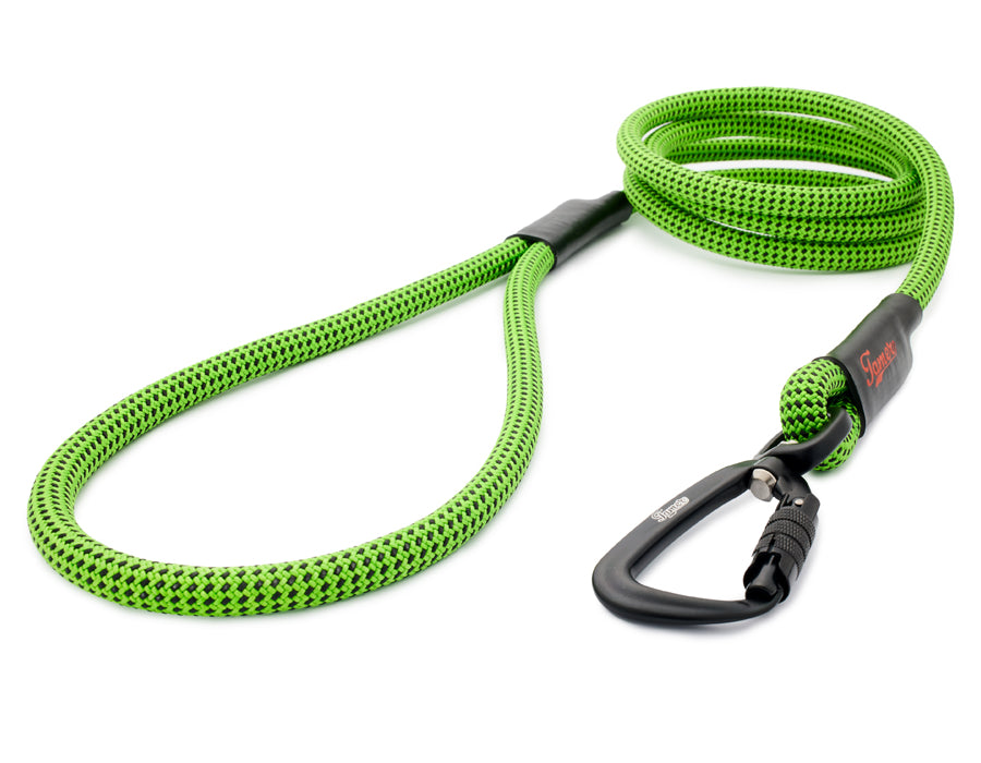 Klassische Hundeleine - M - TWIST Karabiner