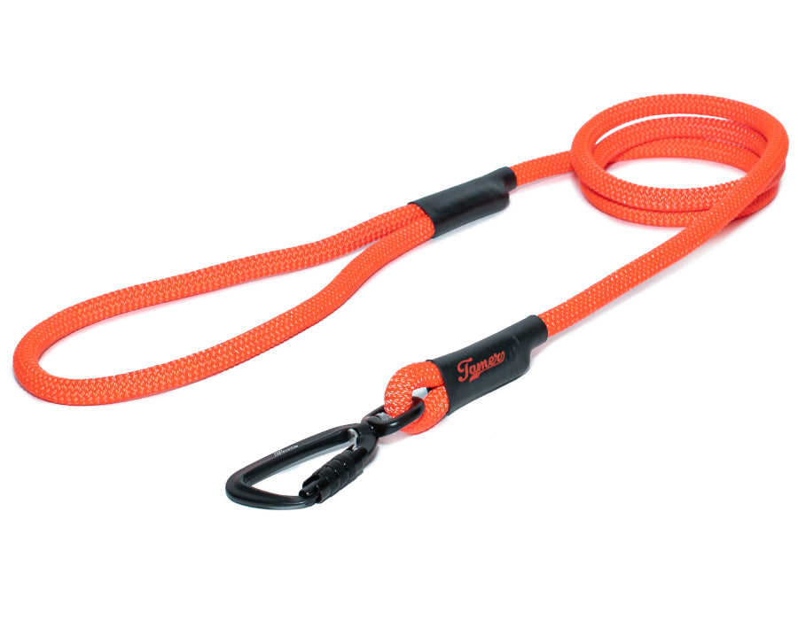 Klassische Hundeleine - M - TWIST Karabiner