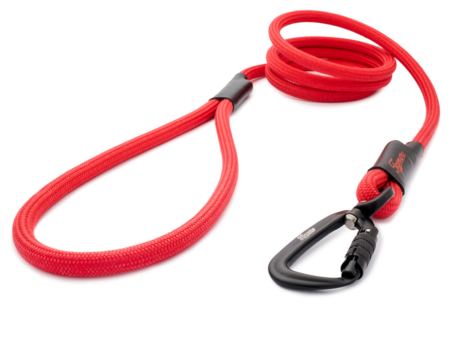 Klassische Hundeleine - M - TWIST Karabiner
