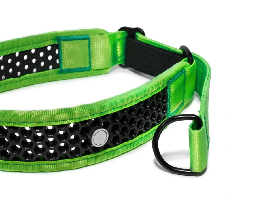 Zugstopp Halsband