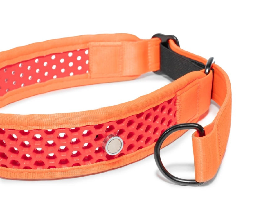 Zugstopp Halsband
