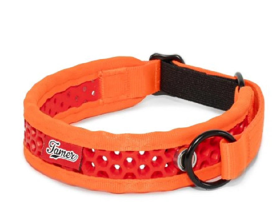 Zugstopp Halsband