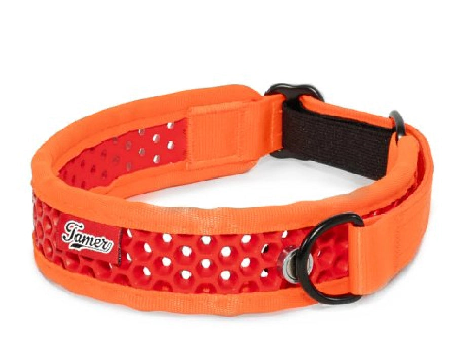 Zugstopp Halsband