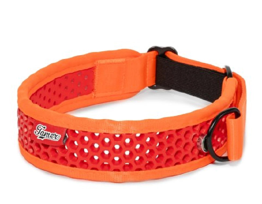 Zugstopp Halsband