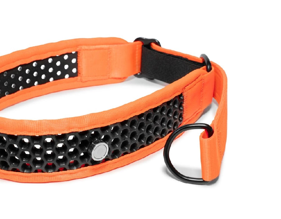 Zugstopp Halsband