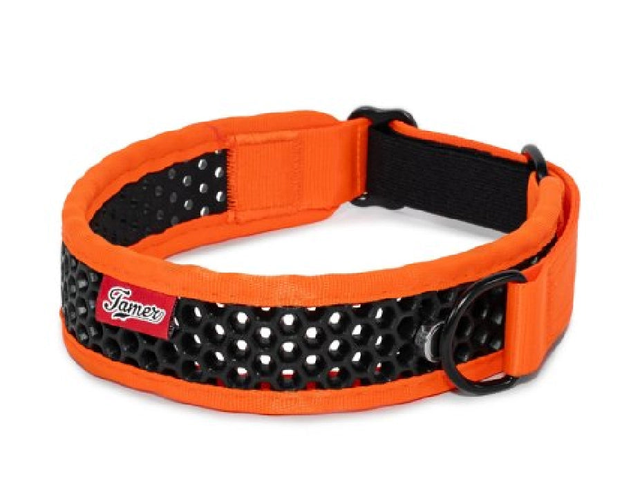 Zugstopp Halsband