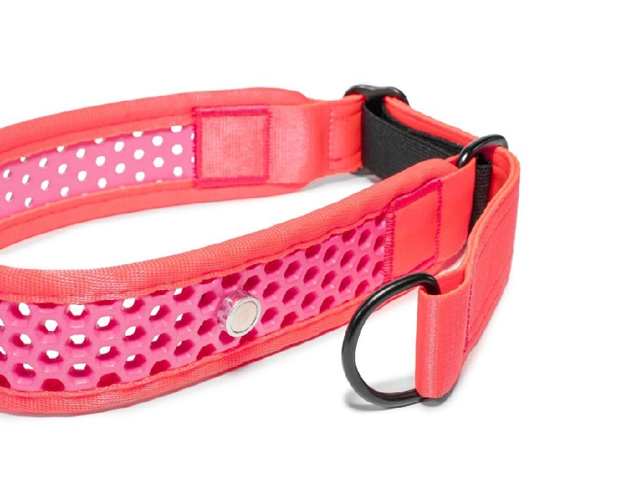 Zugstopp Halsband