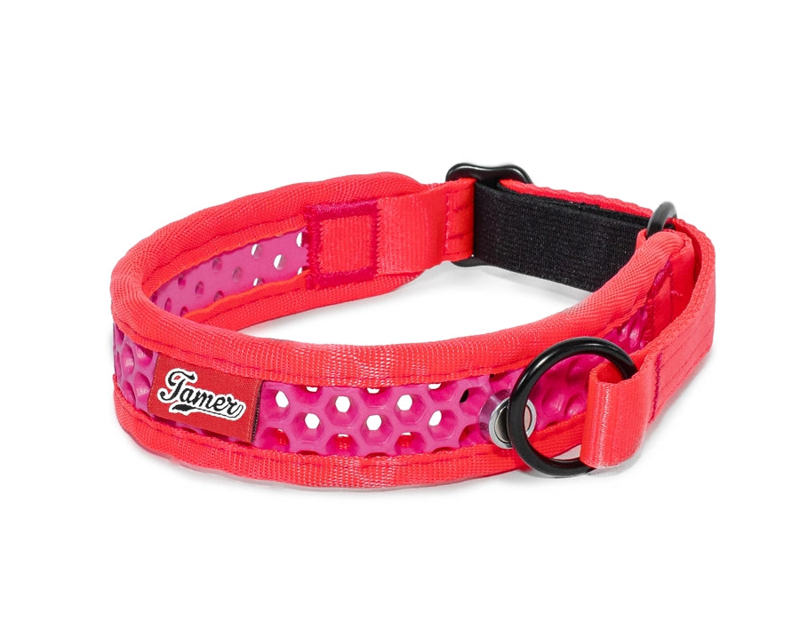 Zugstopp Halsband