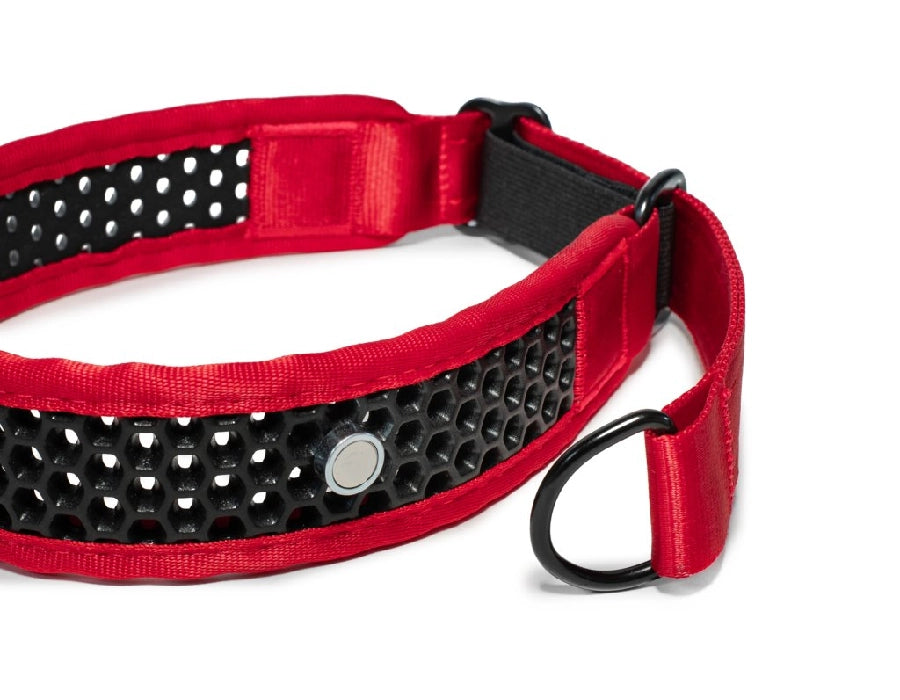 Zugstopp Halsband