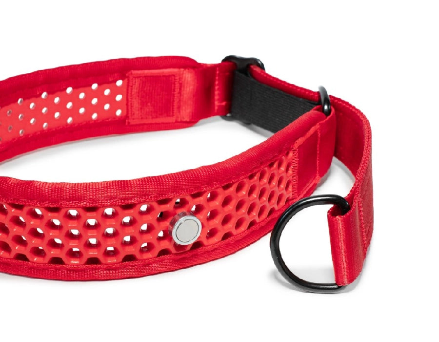 Zugstopp Halsband