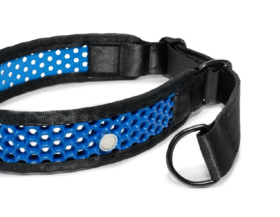 Zugstopp Halsband