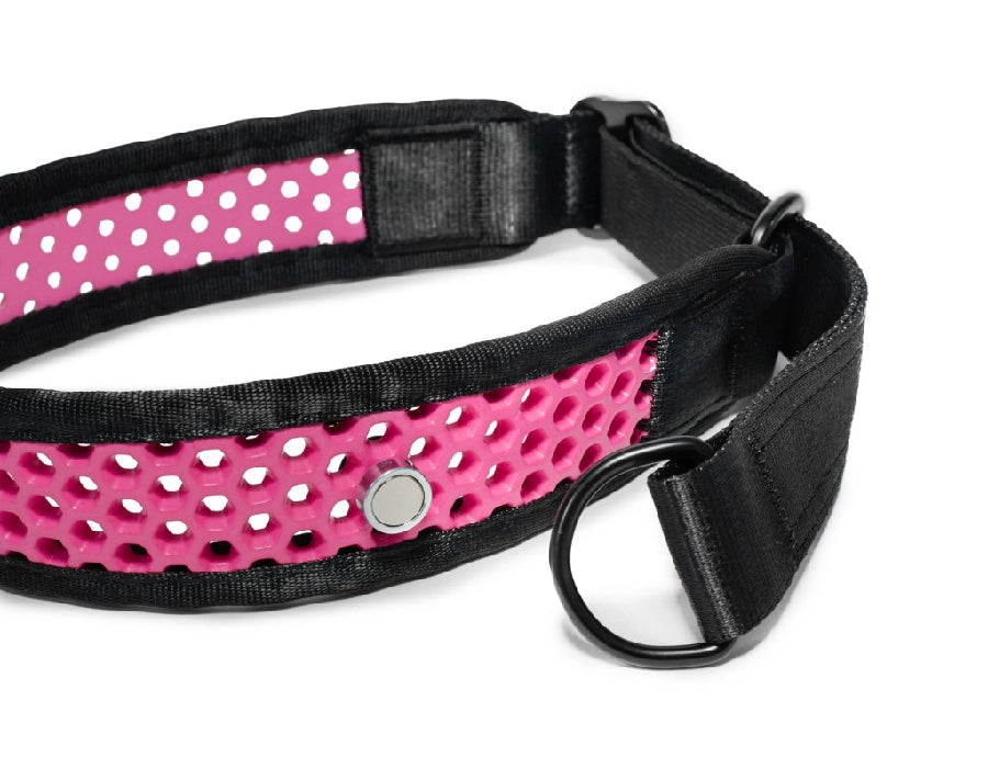 Zugstopp Halsband