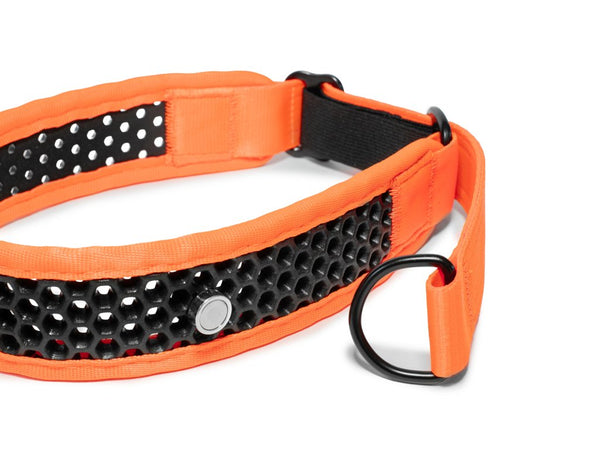 Zugstopp Halsband